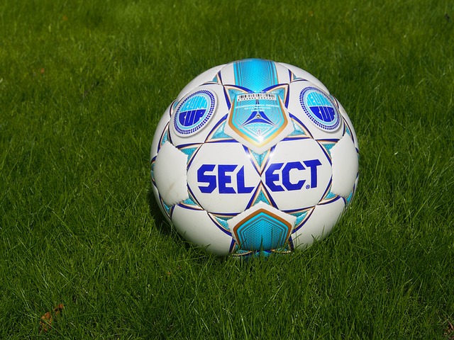 稳定的阵容 稳定的阵容