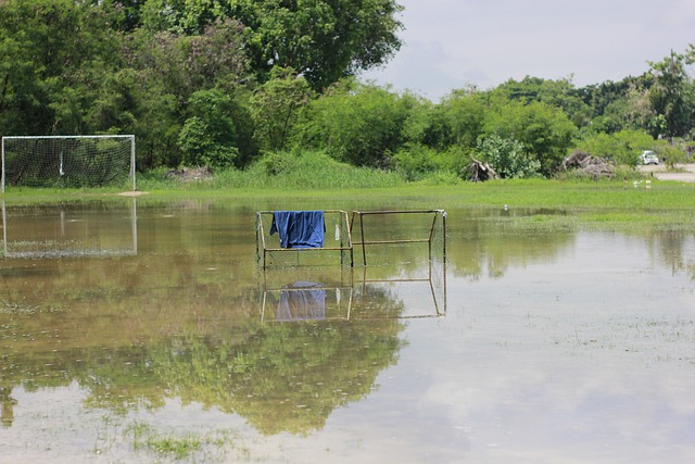 德鲁已经成 德鲁已经成