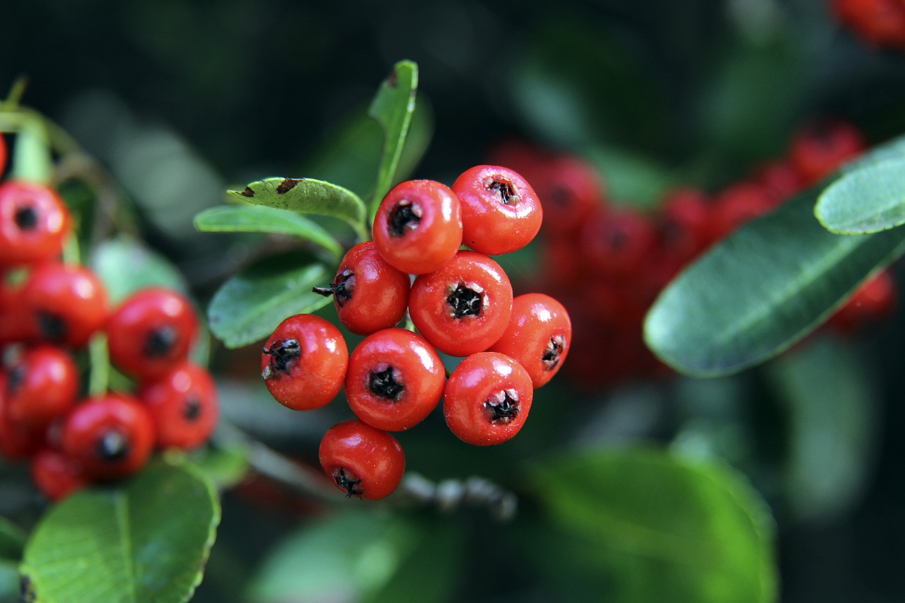 对于任何职 对于任何职