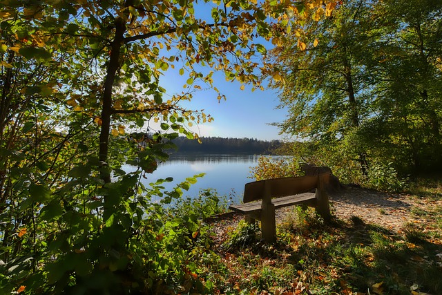 塞尔比遭遇 塞尔比遭遇