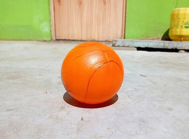 涯的新篇章 涯的新篇章