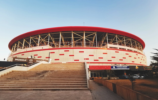 詹姆斯的顽 詹姆斯的顽