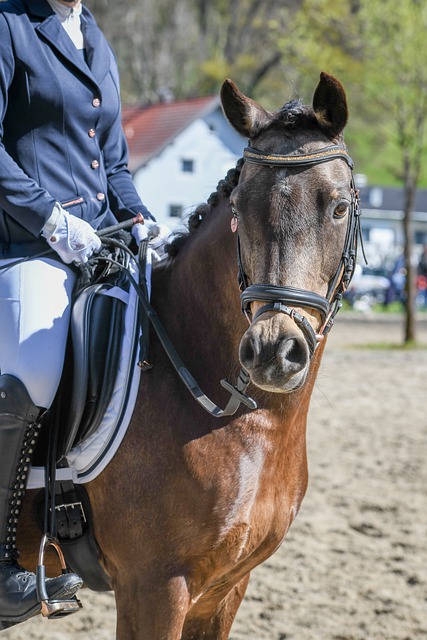 多点开花的 多点开花的