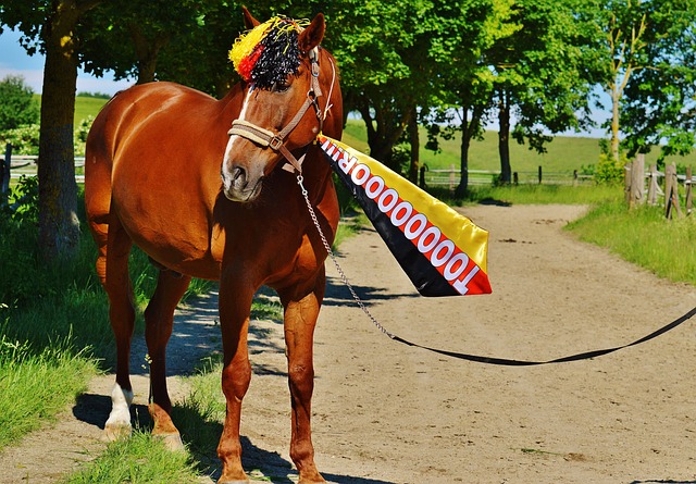 他们规划观 他们规划观