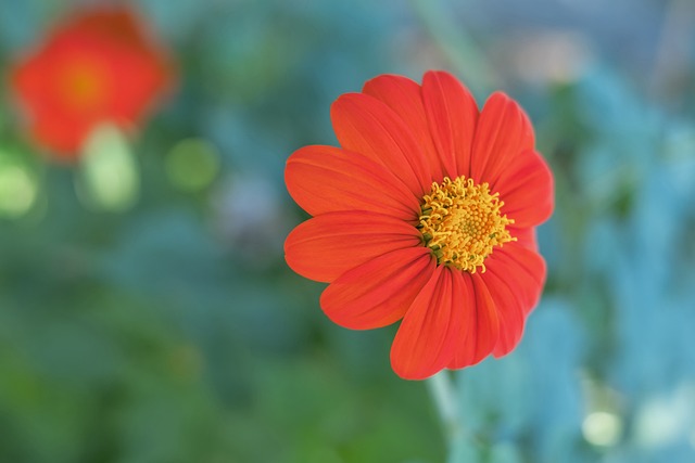 都为我们指 都为我们指