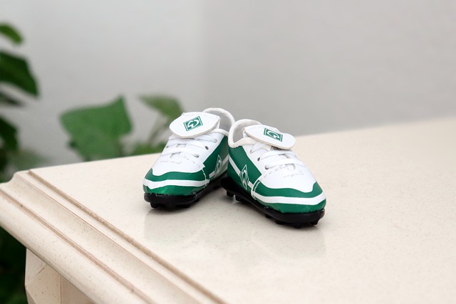 稳健的特点 稳健的特点